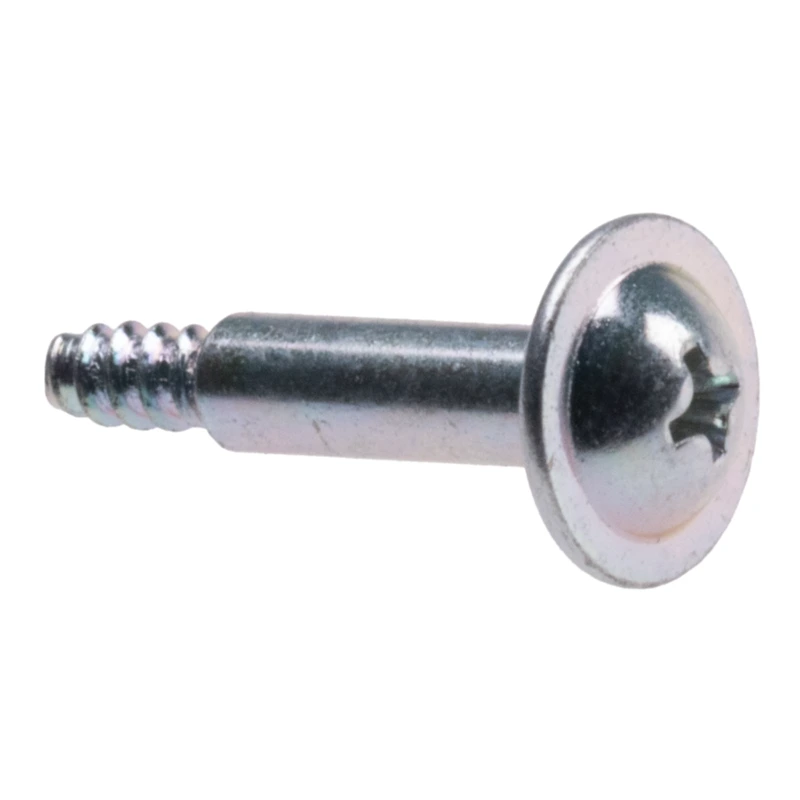 Schneidschraube SSA913C031  1